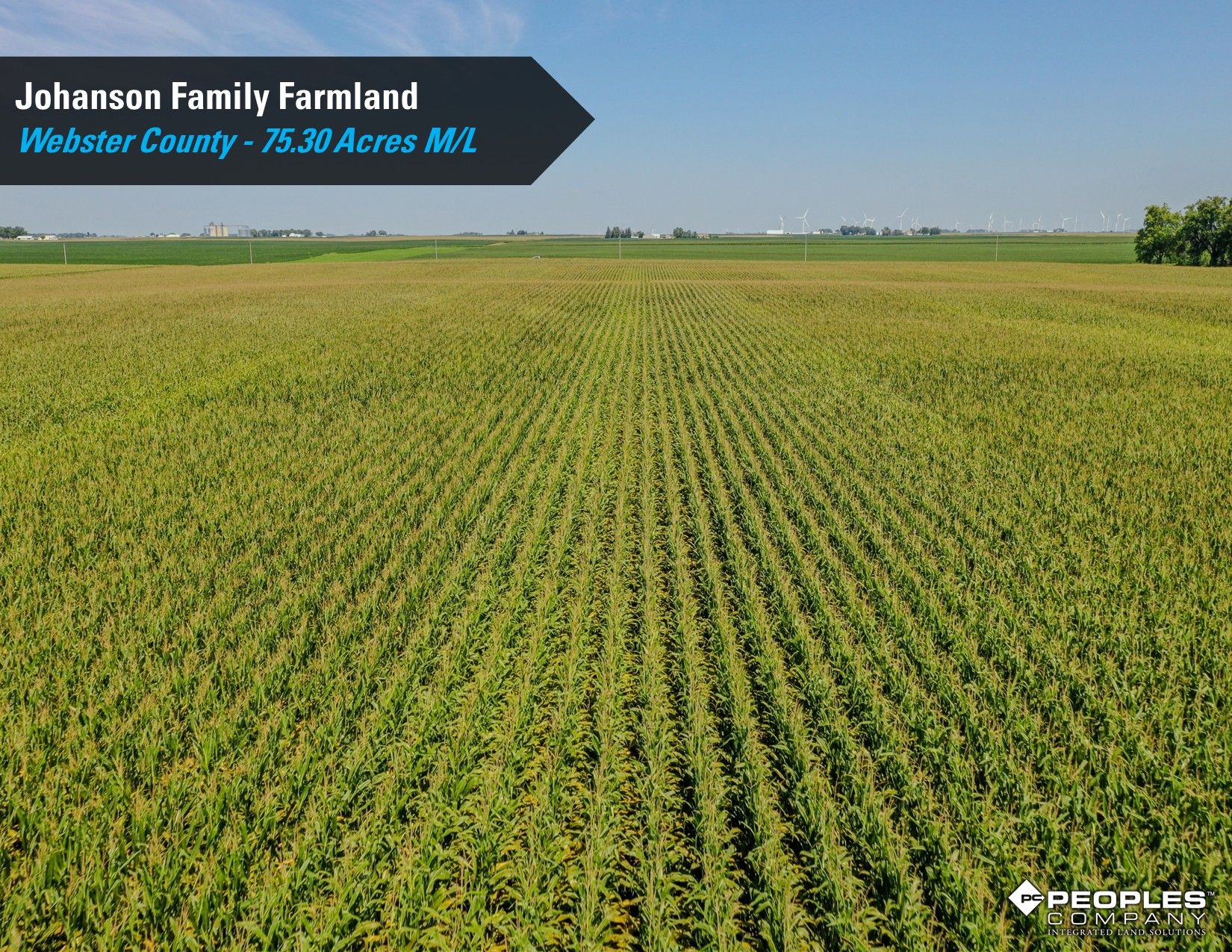 Listing Photo: Webster County Iowa Farmland Available 8